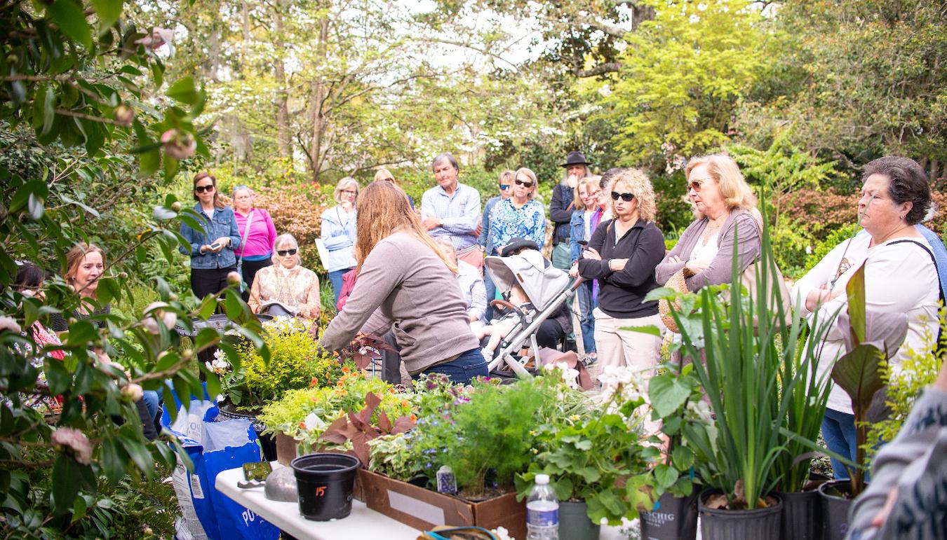 Outdoor venue event planner event planner outdoor events outdoor space local park dance party local artists pool party scavenger hunt outdoor concert parking lot open space friendly competition